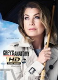 Anatomía de Grey Temporada 13 [720p]